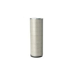 Air Filter P127313 for Donaldson
