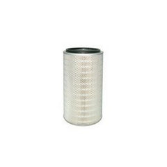 Air Filter P500111 for Donaldson