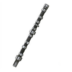 Camshaft 3895801 for Cummins Engine L10