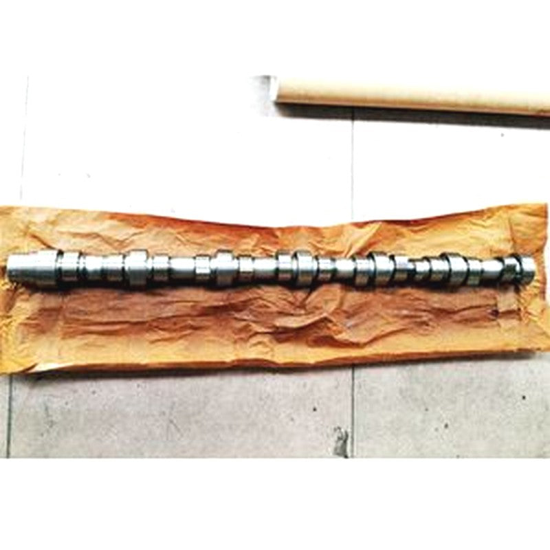 Camshaft 3907824 for Cummins 6BT Engine