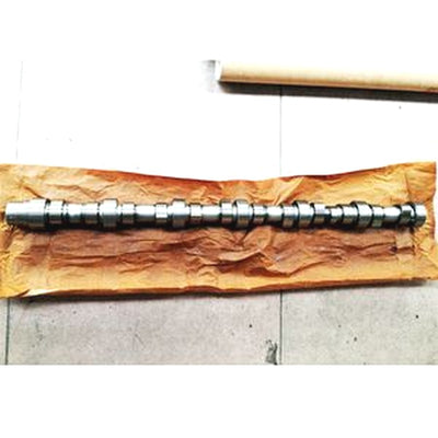 Camshaft 3907824 for Cummins 6BT Engine