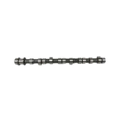 Camshaft 3929038 for Cummins 4BT Engine