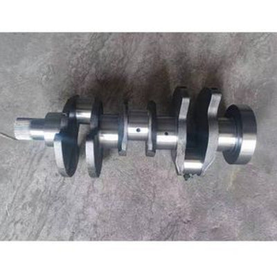 Crankshaft 4181V017 for Perkins Engine 1103C-33 1103C-33T 1103C-33TA 1103B-33 1103B-33T 1103A-33 1103A-33T 1103D-33