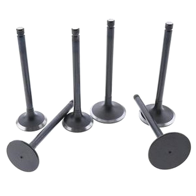 1 Set Of Intake And Exhaust Valves For Toyota Land Cruiser Dyna Coaste 1-set-of-intake-and-exhaust-valves-for-toyota-land-cruiser-dyna-coaste