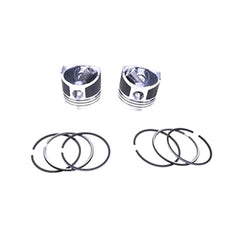 Piston & Ring Kit for Thermo King Engine TK2.44 TK244