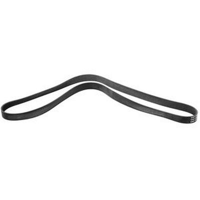V-Ribbed Belt 8PK1710 504079074 for Iveco Truck Eurocargo